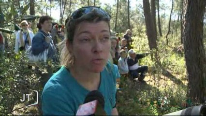 Découverte de la faune pour les vacanciers (Vendée)