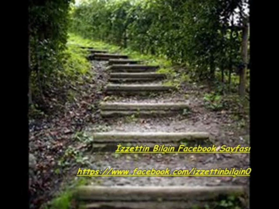 Sonu gelmeyen yol - İzzettin Bilgin