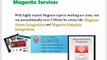 Get Magento website development with Magento services