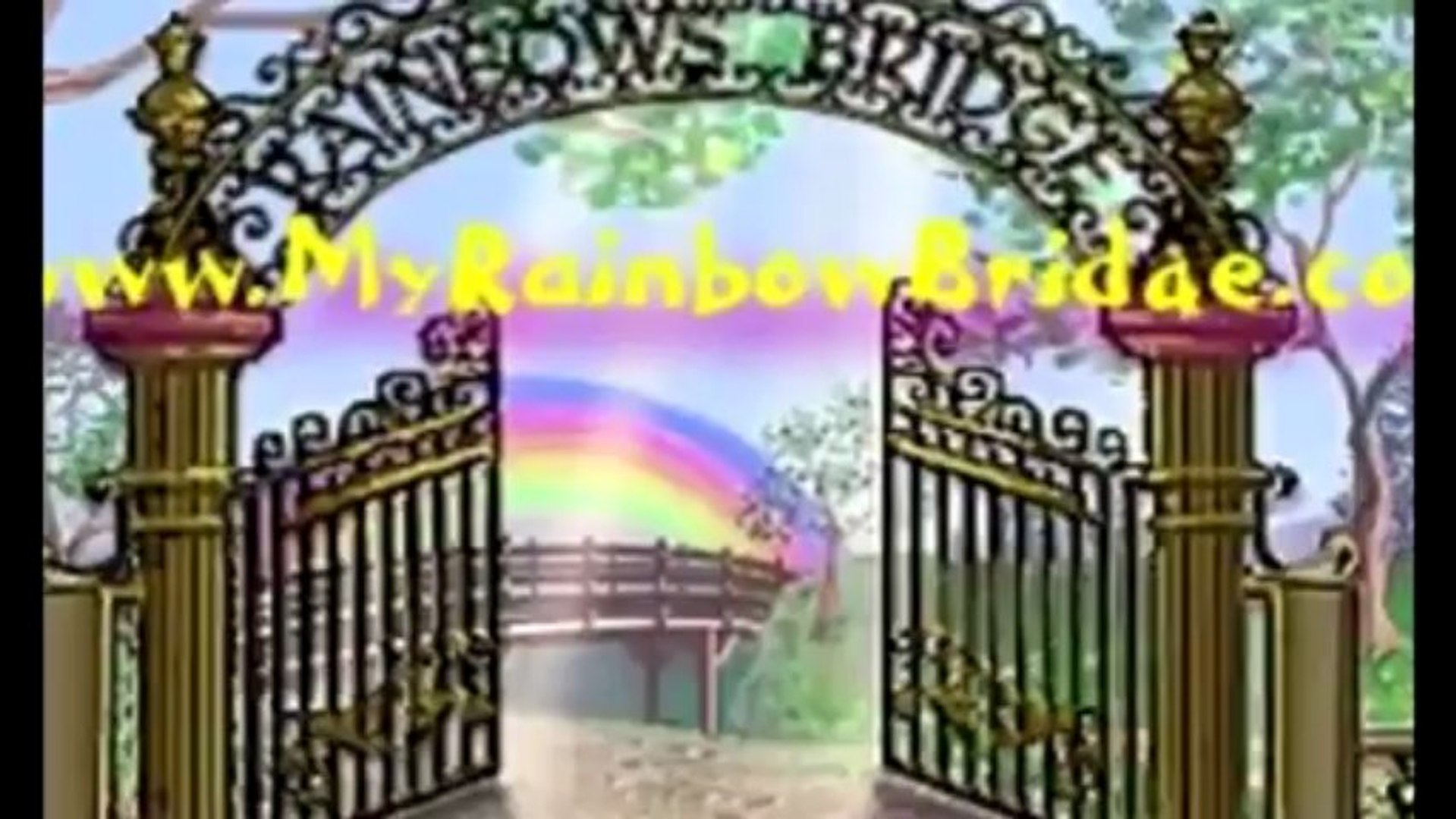 Rainbow Bridge Group, no more lonely dogs at Rainbow Bridge.