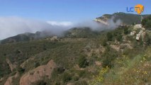 LCTV - Le phénomène de la brume de chaleur