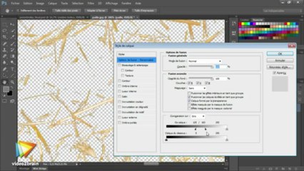 Photoshop CS6 : Détourage de la paille