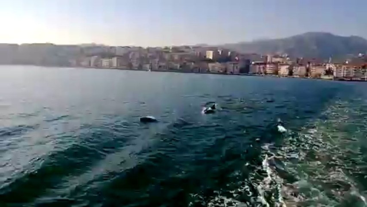 BALIKLAR