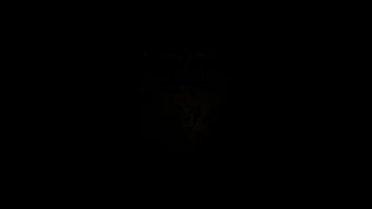 Dragon's Crown - L'elfe