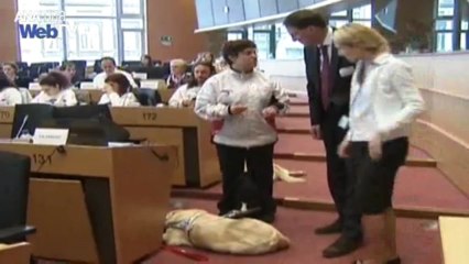 ΕΕ: Δικαίωμα στο Ιντερνετ για τους τυφλούς