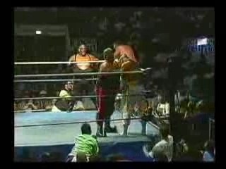 Headhunters & Jake Roberts in action