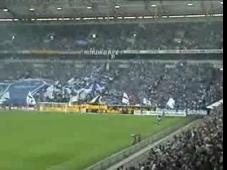 schalke 04 - asnl