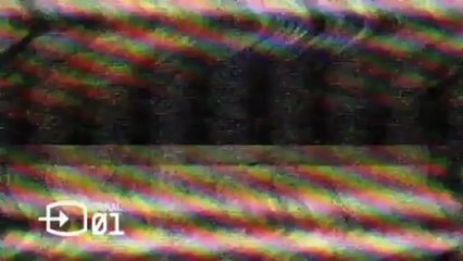 TV3 - Polònia - Mas fa el monòleg en dual