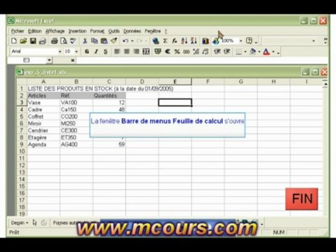 Tutoriel EXCEL 2003: Cours N°3 Visualiser avant impression