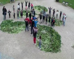 Journée du développement durable Land Art