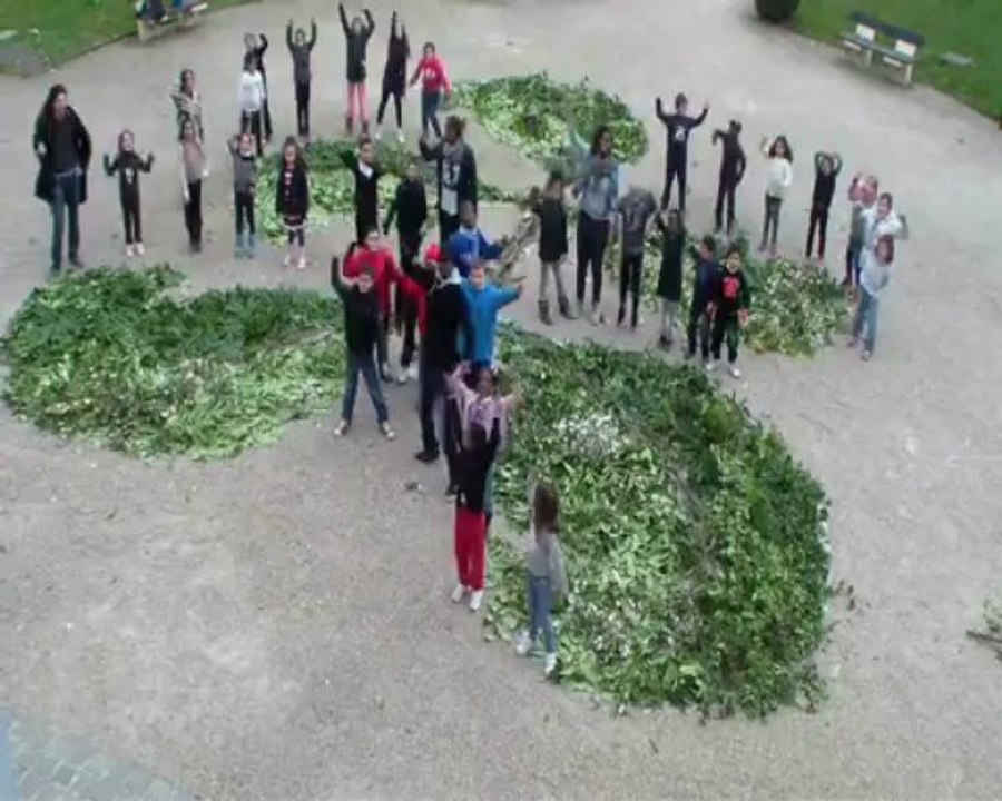 Journée du développement durable Land Art