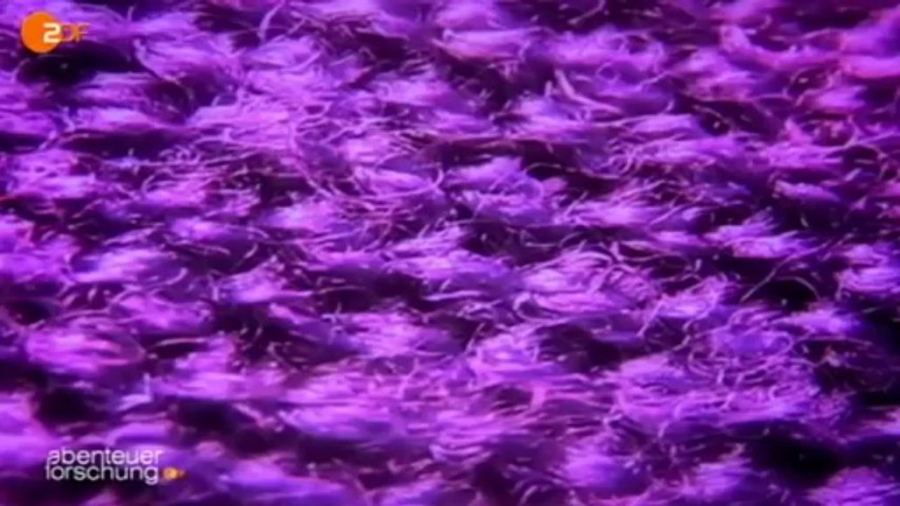 Abenteuer Forschung: Begegnungen im Universum - ZDF