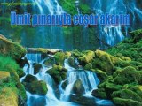 WwW.dostlarbizde.com Baha Gülü susuz seni aşksız bırakmam  WwW.dostlarbizde.com   WwW.dostlarbizde.com