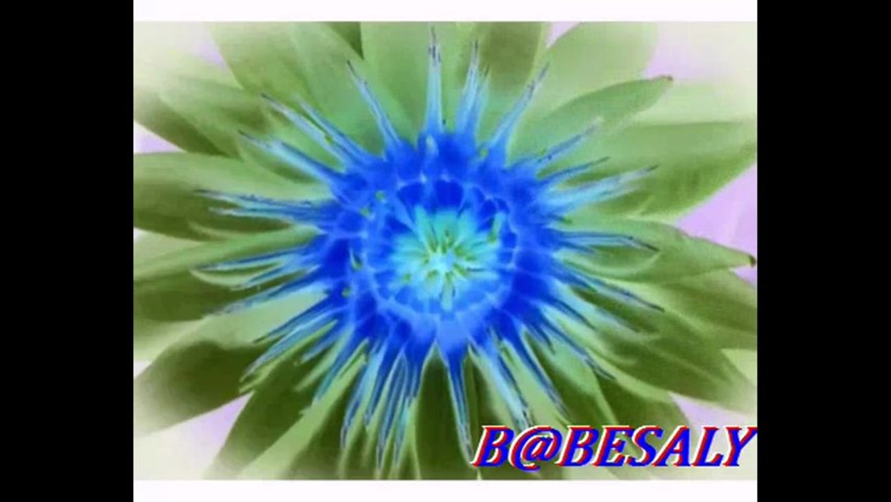 ♫ BLU ♫