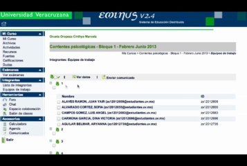 Programa 9. Equipos de trabajo en Eminusv3