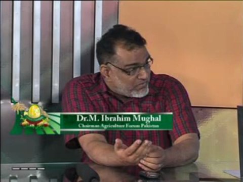 Zari Pandal with Saghir Ramay on Agriculture Field Part 01