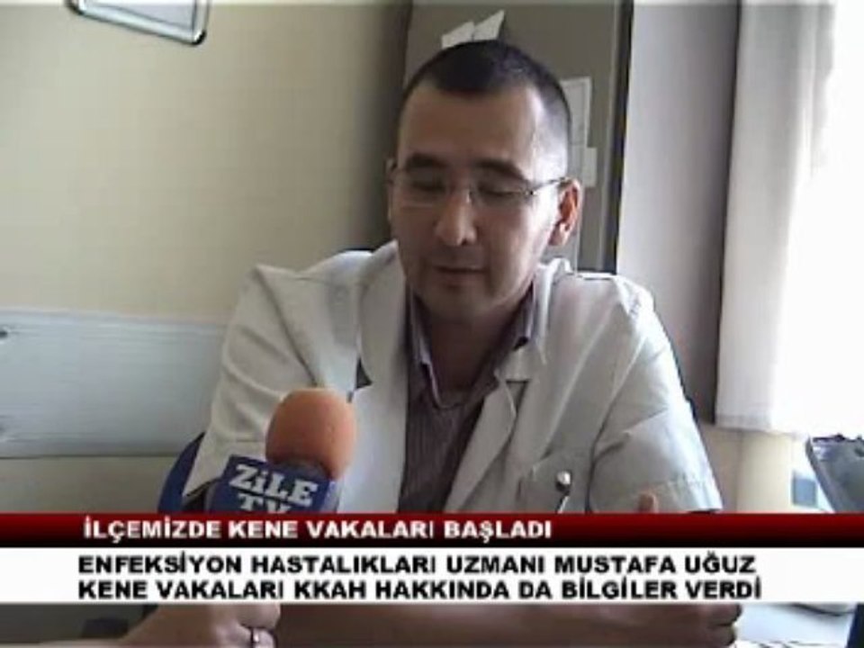 ZİLE'DE KENE VAKALARI BAŞLADI
