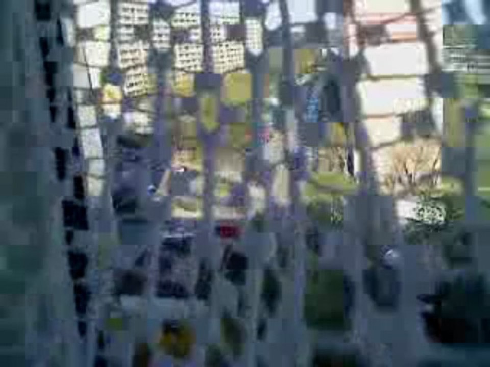 MOV00556