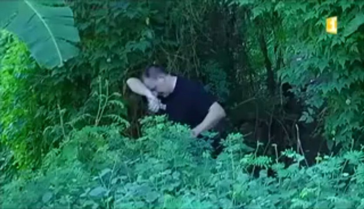 "Papy Fat" 5 jeunes âgés de 20 à 25 ans sont en garde à vue