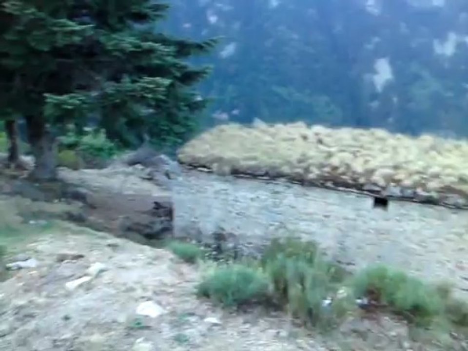 GR10 ORIENTAL refuge de Bonne Aygue le 09/09/2012 à 08.44