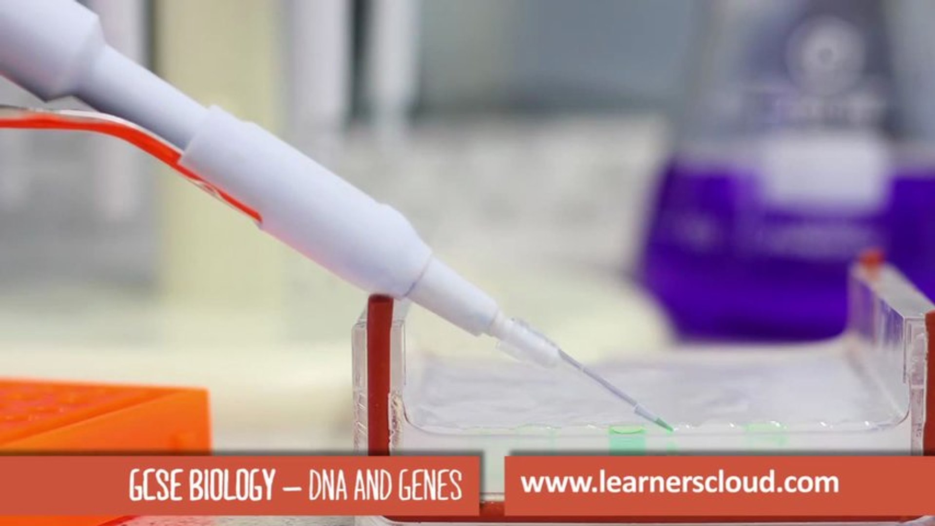 ⁣DNA and genes: GCSE Biology