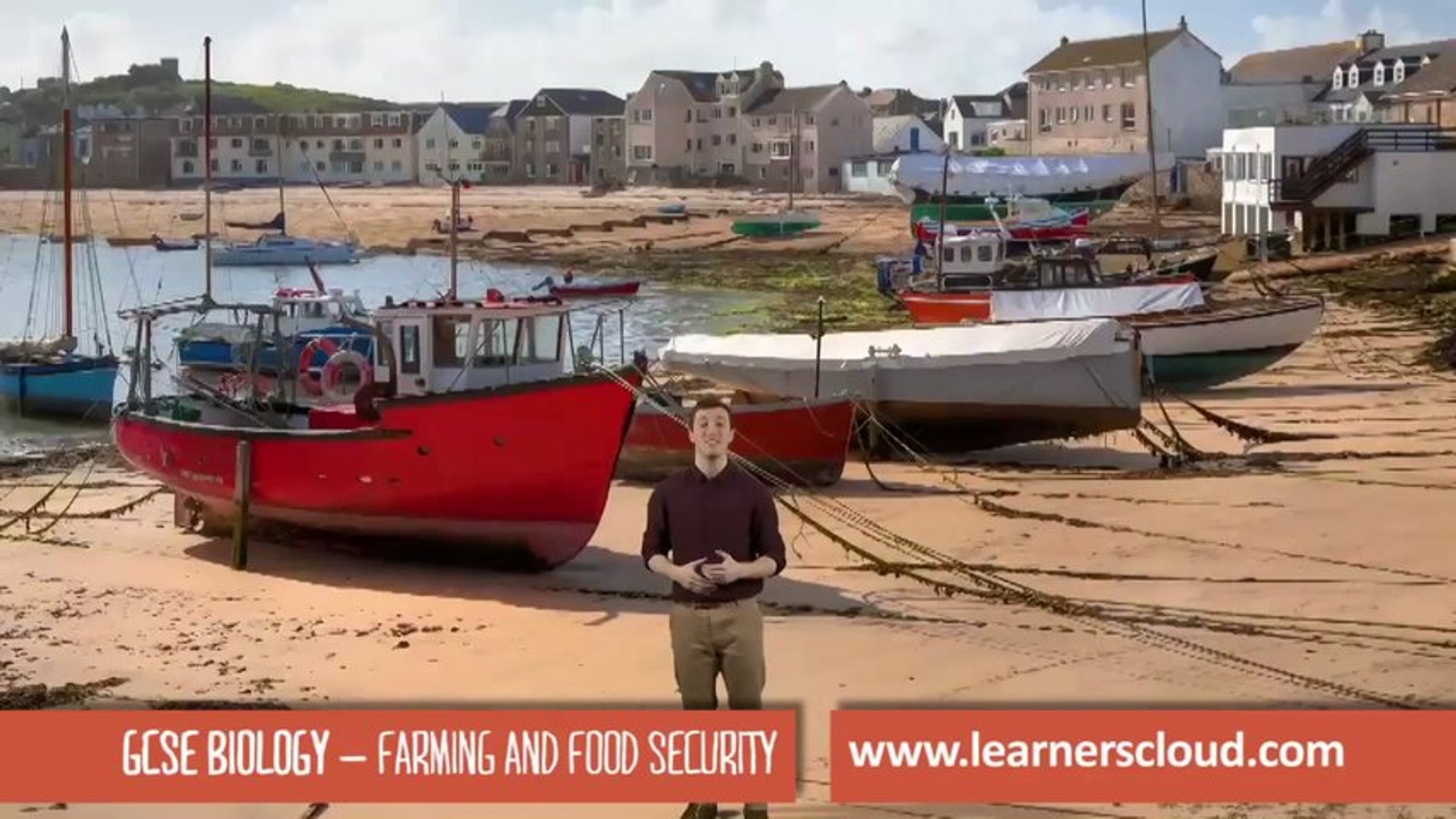 ⁣Farming and food security: GCSE Biology