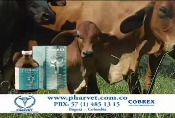 26 de abril de 2013 Paisagro Hacienda Mararave web