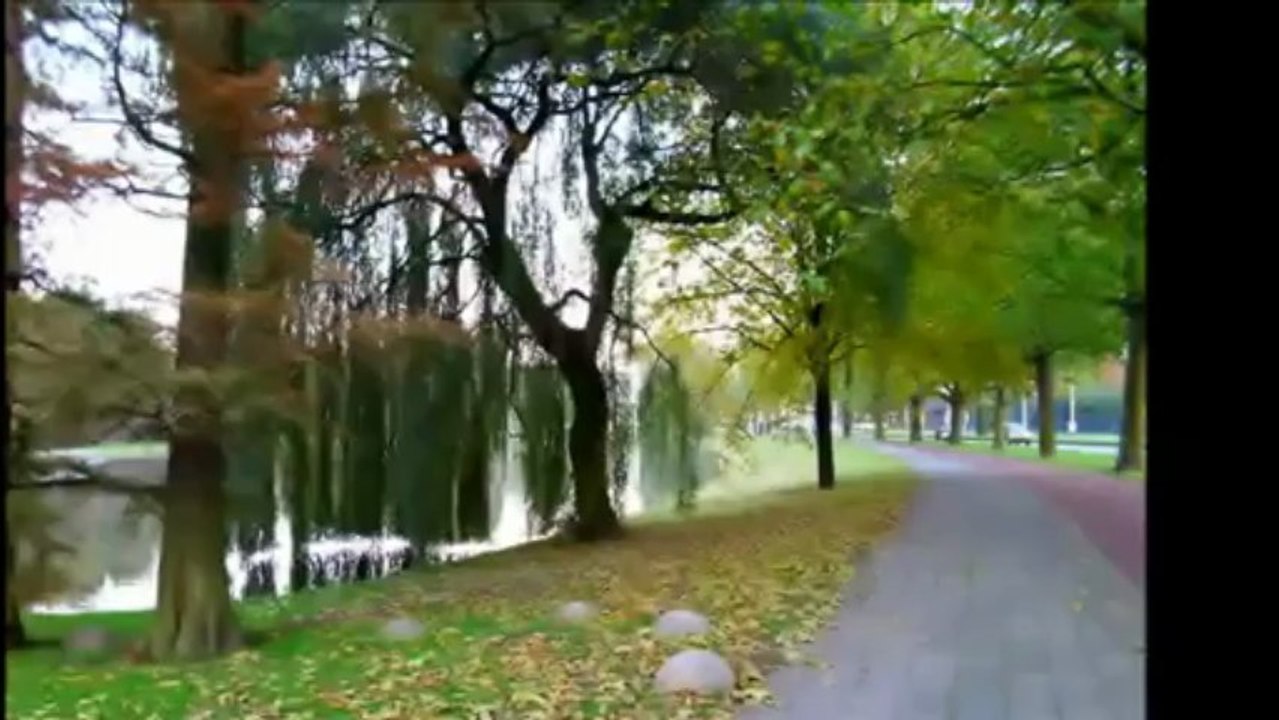 Discover Holland - Rotterdam:  Manhattan on  the Maas  "the Gateway to Europe"