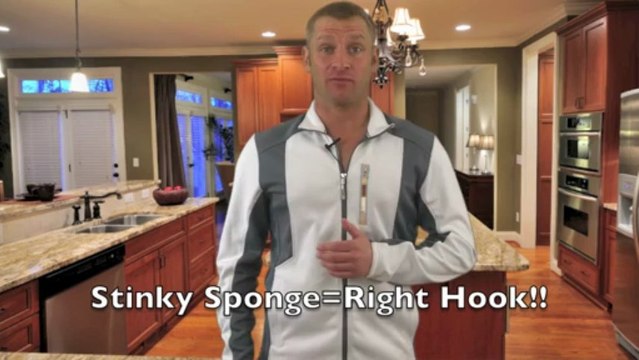 Cleaning Service St. Louis Maid Service Tips Bacteria