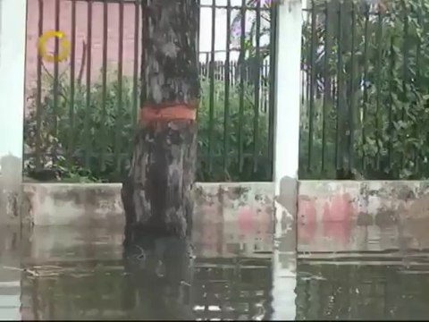 Habitantes de La Punta y Mata Redonda denuncian colapso por las lluvias