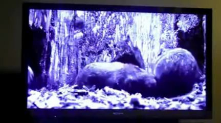 Sony Bravia Z Series KLV-40ZX1M 40-Inch 1080p LED Monitor