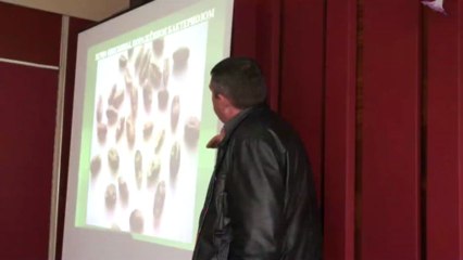 Сельхозпроизводство на юге Украины часть 2