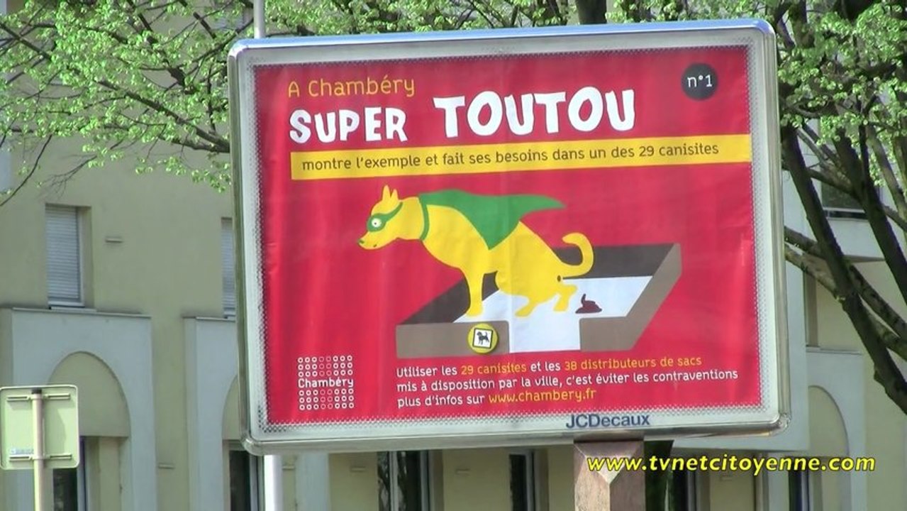 "Super Toutou", une vie de chien