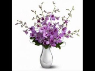 flower shops in mississauga