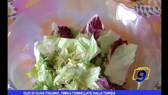 Olio di oliva italiano, 79mila tonnellate dalla Tunisia