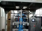 Focusun_Fully automatic ice packaging machine