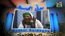 Madani Guldasta:191 - Ameer-e-Ahle Sunnat