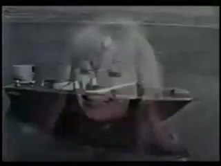 1966 Dodge Charger Commercial