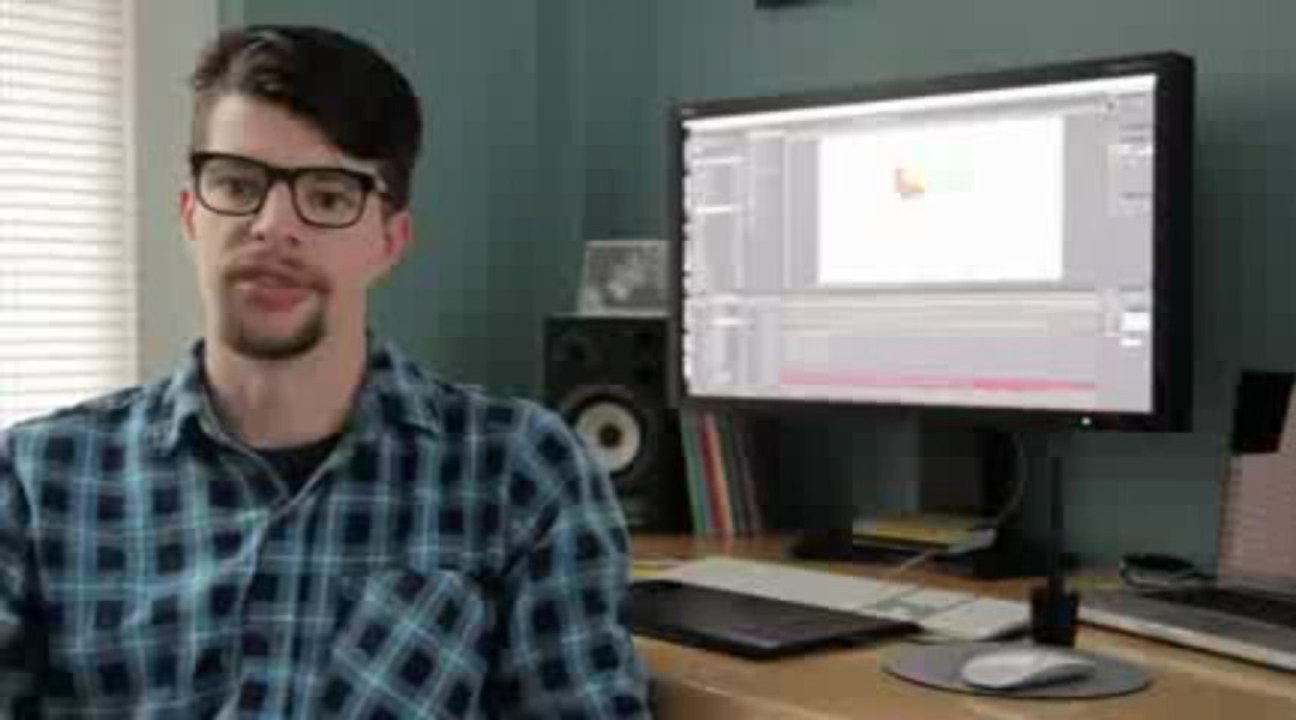 NEC PA271w-bk 27-Inch 2560 x 1440 1000:1 6ms Widescreen LCD Monitor