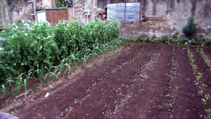 Succivo (CE) - Festa della Tammorra, gran finale a Teverolaccio con Colasurdo (23.04.13)