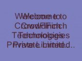 Web Design Services at CrowdFinch Technologies Pvt Ltd