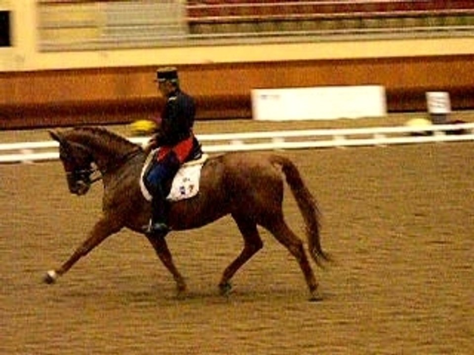 Diabolo St Maurice trot allongé