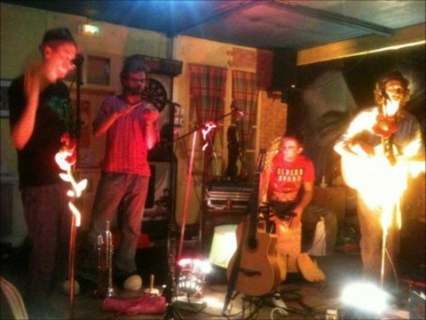 teaser Festi'Bars 2013 - Les P'tits fils de Jeanine