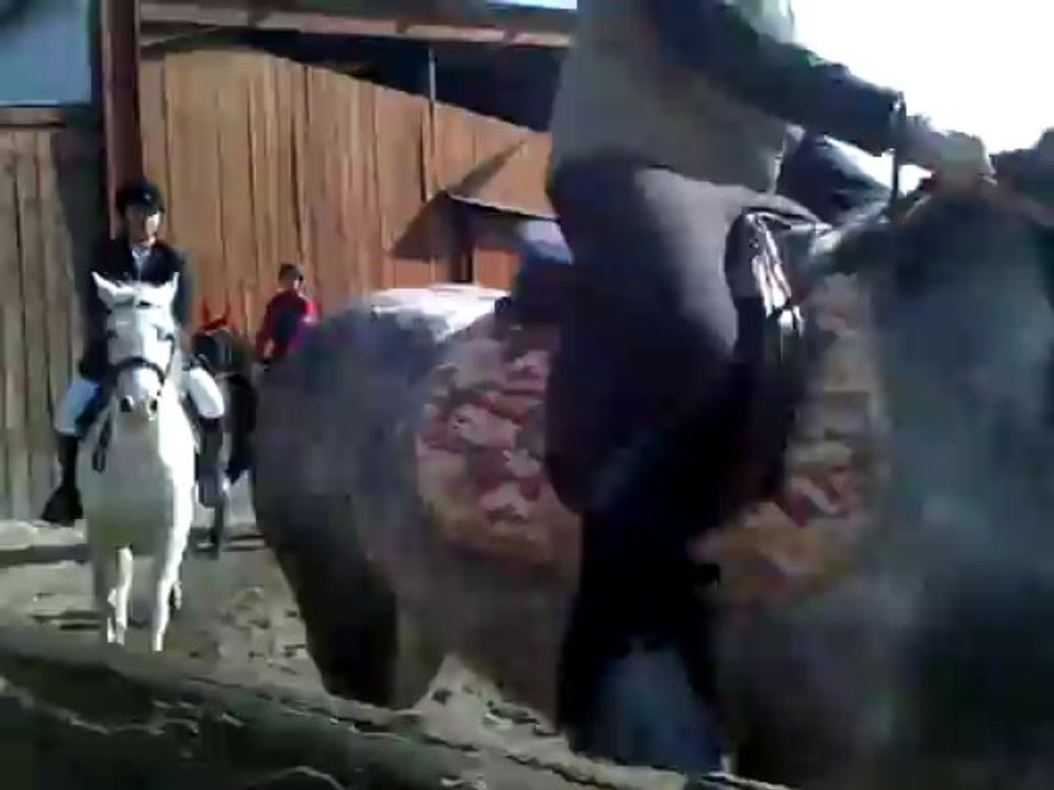 VID-20130331-00002