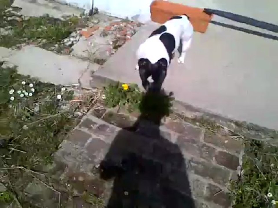 VID-20130414-00005