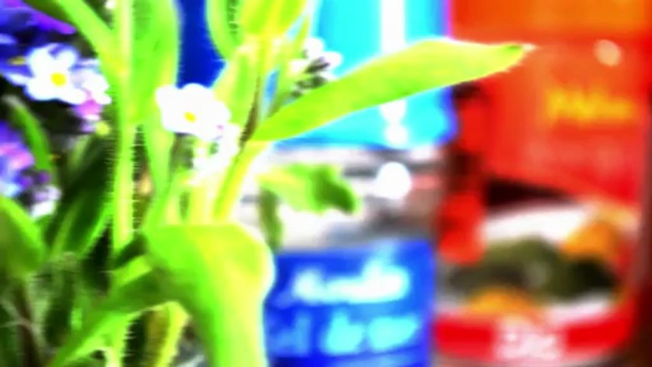 Slider-konova