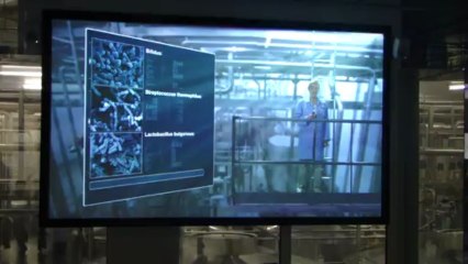 Vitarium avec les Cm2 (11)