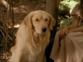 adventures of swiss  robinson family ( 1998 ) part 9