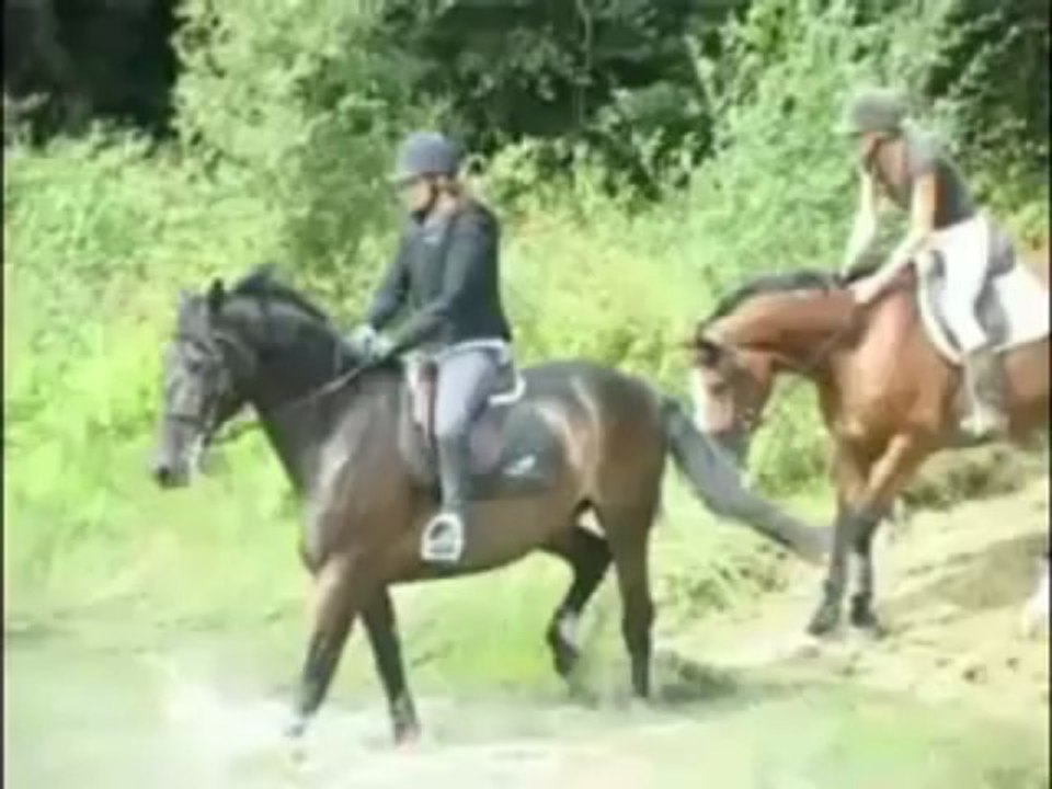 Centre équestre du Domaine des Ormes