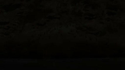 Pingüinos en peligro